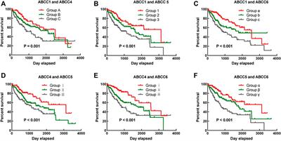 Clinical Significance and Potential Mechanisms of ATP Binding Cassette Subfamily C Genes in Hepatocellular Carcinoma